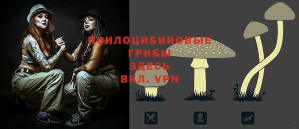 хмурый Белокуриха