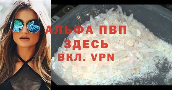 хмурый Белокуриха
