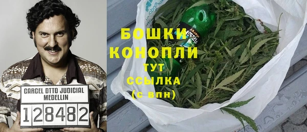 хмурый Белокуриха