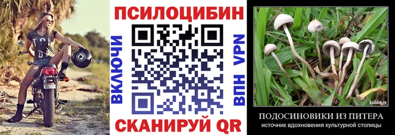 Купить где  Горнозаводск  Галлюциногенные грибы MAGIC MUSHROOMS 
